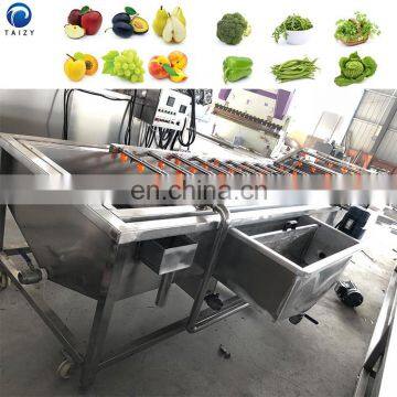 Orange Lemon Carrot Cleaner Machine Fruits and Vegetables Cleaning Equipment Vegetable Washer