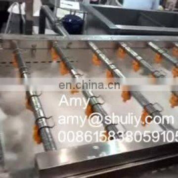 Washing equipment and air drying equipment for vegetables