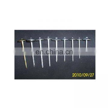 Cheap Low Price Galvanized Roofing Nails