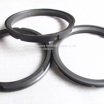 Sintered Sic Seal Ring for Mechanical Seal