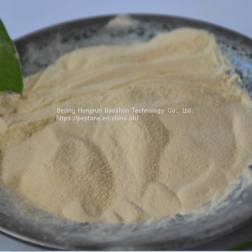 Casein Peptone