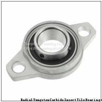 NSK 6005du Bearing