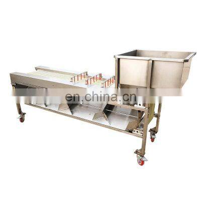 Apple Grading Machine/Potato Sorting Machine/Apple Sorting Machine. photo-5