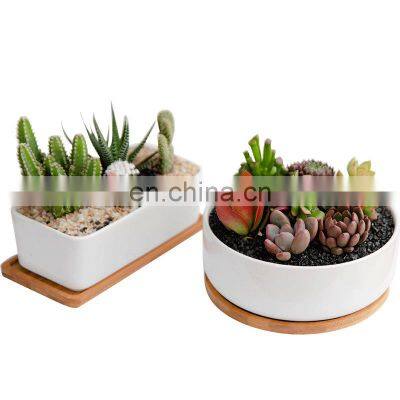 Original Large Succulent Planter Ribbed Ceramic Pot For Indoor Plant