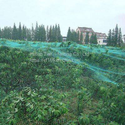 HDPE plastic anti bird net, agricultural plastic products bird net,greenhouse net,planting net