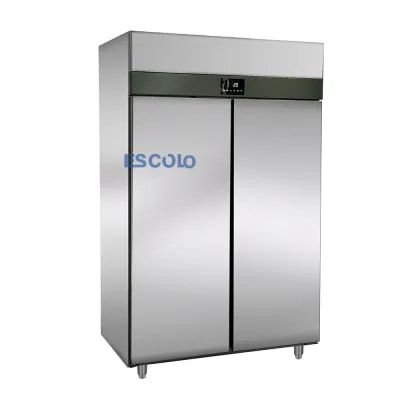 ES-QC1.0L4F upright double door stainless steel fridge