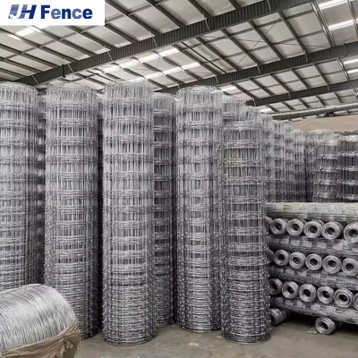 Australia Security Fence Galvanized Field Wire Mesh for Sheep Deer Horse Hinge Joint Form Farm Wire Mesh