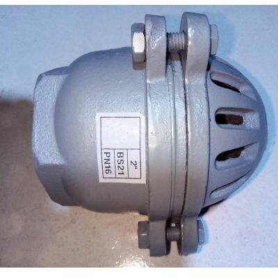 Factory Direct BS/DIN Std DN100 Cast Iron/Ductile Iron Foot Valve Flange Water Pump Valve Factory photo-5