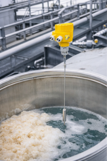 Type 2291 Guided Radar Level Transmitter for Water Tank / Chemical Liquid Level Measurement 4-20mA HART