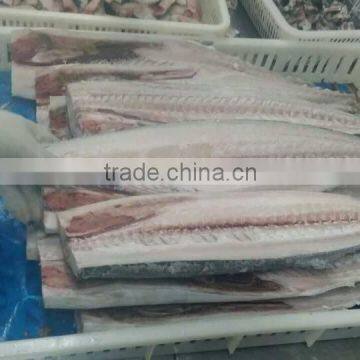 Spanish Mackerel King Fish Fillet