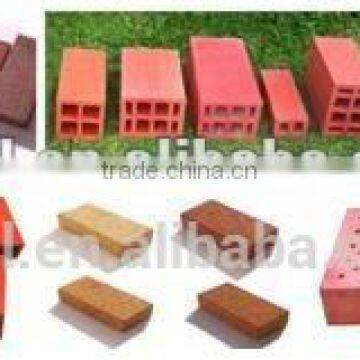 Foshan factory direct sale clay bricks mould steel and mould injection , extruded mould machinery