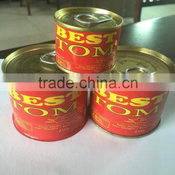 popular canned tomato paste/ketchup/tomato puree with charming price