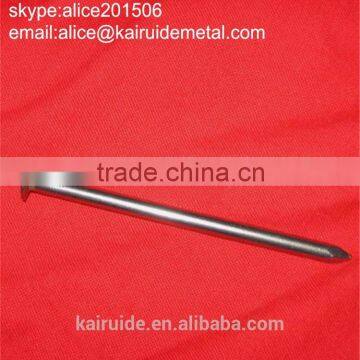 2016 Factory on Hot Sale Low Price Common Iron Nail All Sizes/common Iron Nail photo-3