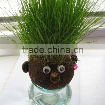 Grass head,grass toy,magic grass head