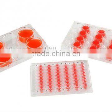 Cell and Tissue Culture Plate