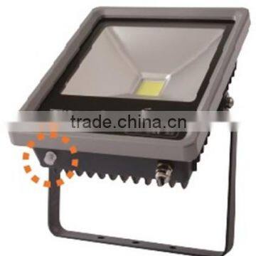 IP65 Outdoor Bridgelux 30W, 50w Flood Light LED Bulb, Flood Light LED Bulb with UL Listed Meanwell Driver