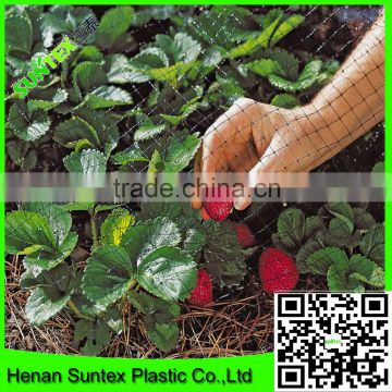 Supply 2016 100% virgin pe extruded knotless with UV stabilized Black garden bird netting protecting strawberries from birds