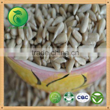 Bakery Sunflower Kernels no Shell Edible Directly photo-3