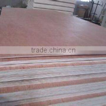 Poplar Plywood Furniture Plywood From Factory photo-2