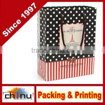 Art Paper White Paper Gift Shopping Promotion Bag (210064)