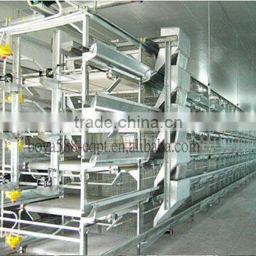 poultry farming commercial chicken coops