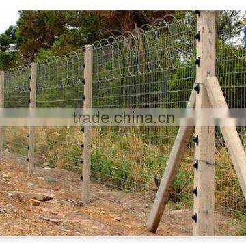 5% cheaper! galvanized razor barbed wire fence