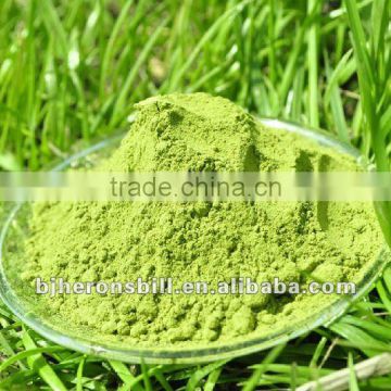 100% natural Matcha green tea powder Culinary grade