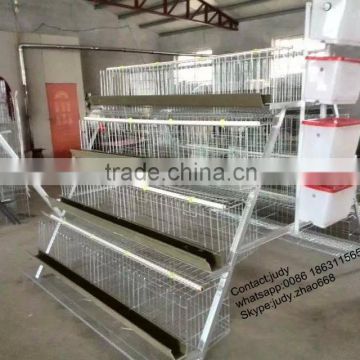 galvanized welded wire mesh egg chicken cage