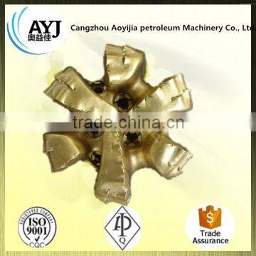 Qualified by API PDC Bits for Oil Field photo-4