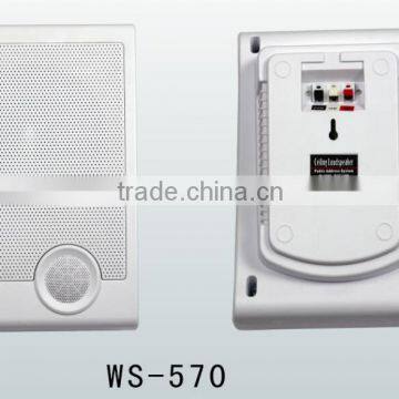 WS-570 Professional Indoor Wall Hanging Speaker, pa Speaker Box photo-5