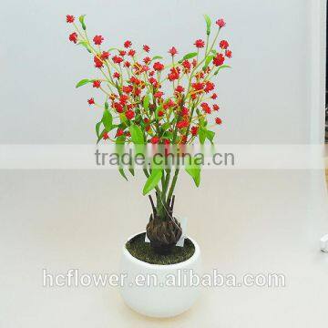 New Design Potted Plants for Living Room Decoration