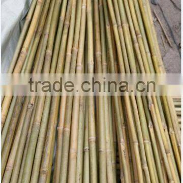 Agriculture products/Bamboo Raw Materials / Bamboo pole