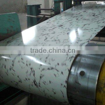 Print/Desinged Prepainted Galvanized Steel Coil / PPGI /PPGL photo-4