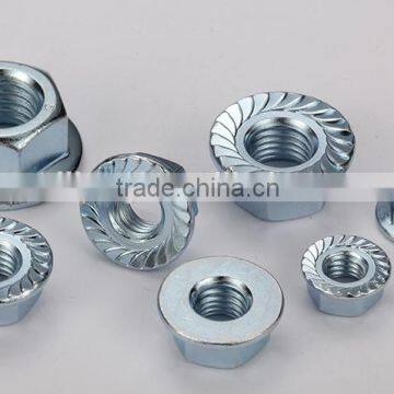 Hexagon Flange Nuts