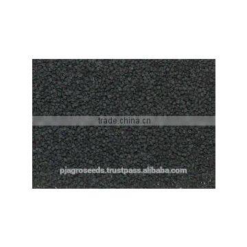 Hybrid Onion Seeds photo-3