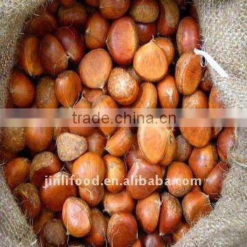 chinese organic hot sale fresh chetsnut