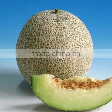 Hybrid F1 muskmelon seeds cantaloupe seeds japanese melon seeds For planting-Pearl