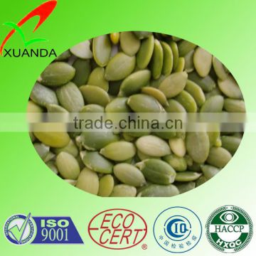 shelled pumpkin seeds green color pumpkin kernel shine skin GRADE AAA AA A