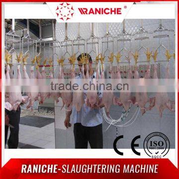 Halal Poultry Chicken Processing Equipment photo-2