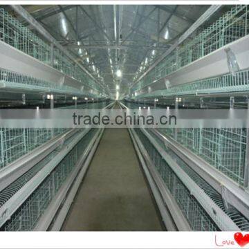 professional produce poultry chicken cage