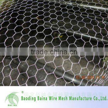 Hexagonal Wire Mesh