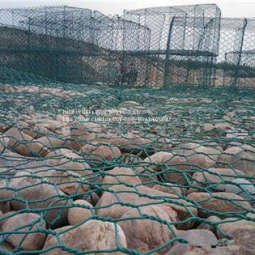 High quality galvanized or PVC  gabion mesh