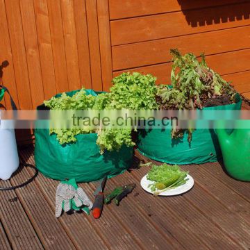 vegetable plant bag