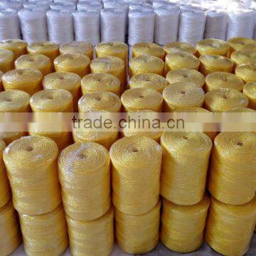 Hot Sale Twisted 1 Ply Hay Baler Twine photo-4