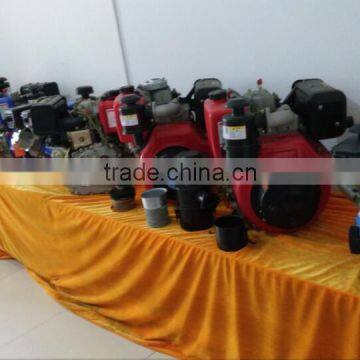 Single Cylinder Air Cooled Disel Horizontal Engine DW170F photo-3