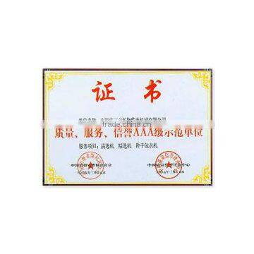 AAA-level model company