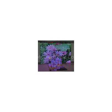 Transparent LED Curtain Display for Stage Backdrop 320 x 320 (mm *mm) P40 10000 (dot/m2)