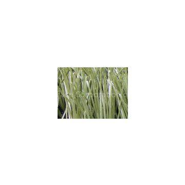 Oliver Green PE Fake Football Artificial Grass Turf Lawns 50mm 9800Dtex