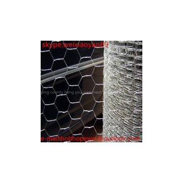 China Good Quality Professional hexagonal wire mesh