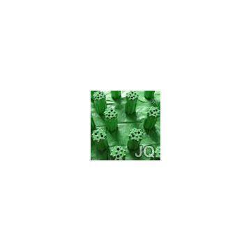 Thread Button Bit